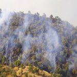 فقر اجتماعی و معیشتی از عوامل موثر در آتش‌سوزی جنگل‌ها!