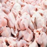 مدیرعامل اتحادیه مرغداران گوشتی : قیمت مرغ ۸۰ هزار تومان نخواهد شد
