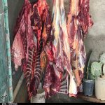 نیم تن گوشت اسب و الاغ غیرمجاز در تهران معدوم‌ شد