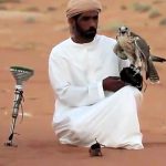 صادرات ۸۵۰ قطعه پرنده زینتی به کویت با مجوز محیط زیست